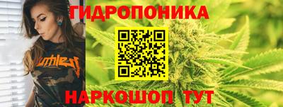 a pvp Кулебаки