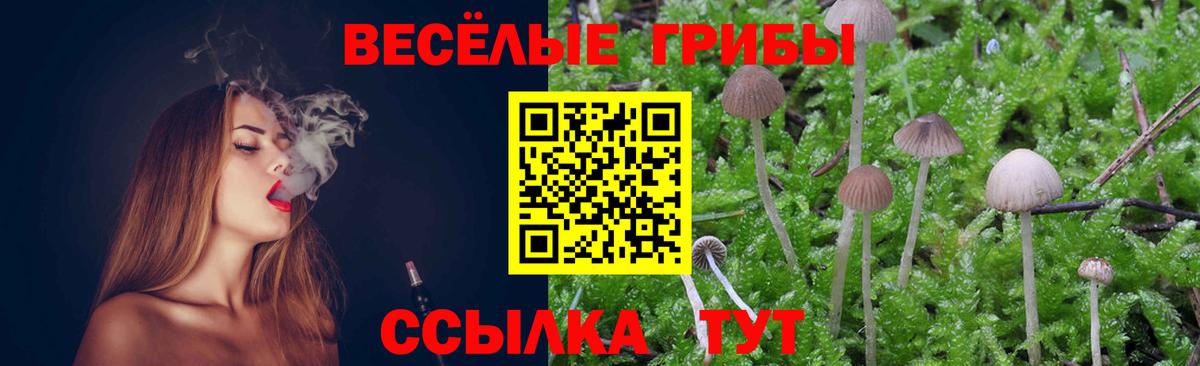 Псилоцибиновые грибы ЛСД Балашов